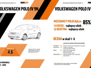  Kt&oacute;re auta zdaniem polskich mechanik&oacute;w psują się najczęściej?